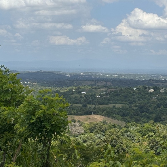 SHARE 💕🛍Posher, 💋Adriana Gault💋 - Picture 8 of 8